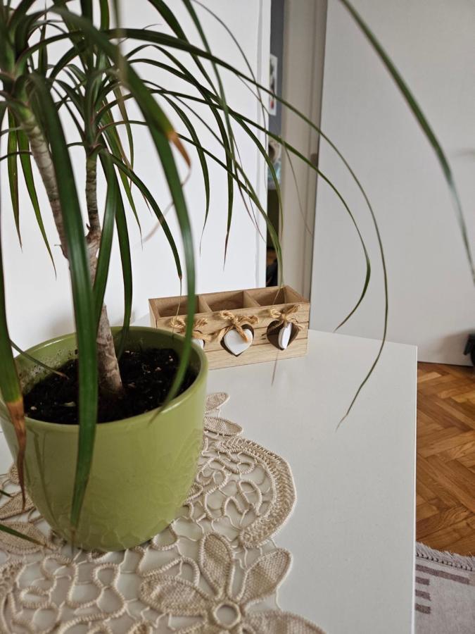 Cosy Apartment In The Heart Of Skopje Esterno foto